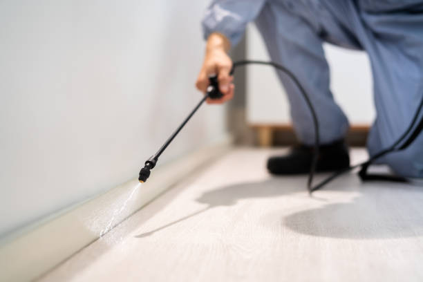 Licensed Pest Control service in Calhoun County County, IL - Nex Pest Control