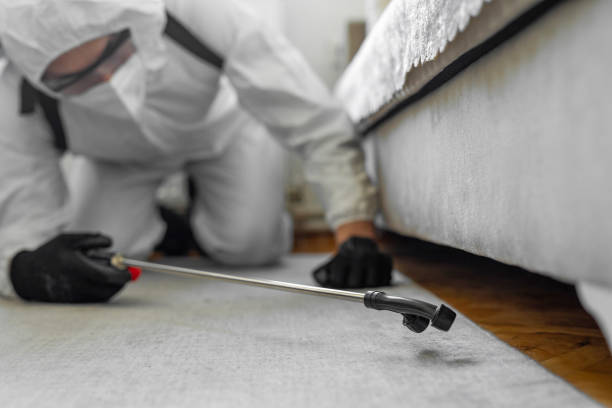 Professional Pest Control technician working in Calhoun County County, IL